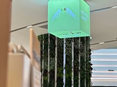 -鹊茶咖啡•新中式(深圳首店)