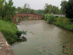 -白鹭湾湿地公园