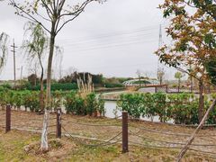 -菊园百果园