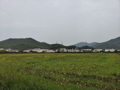 -桃花岛风景旅游区