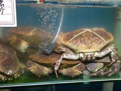 -87号烧烤海鲜·大排档(金沙滩店)