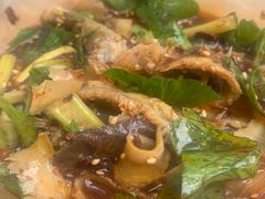 -马记清真肺片(玉林中横巷)