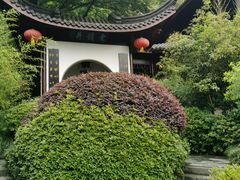 -十八棵（老龙井）御茶园(老龙井店)