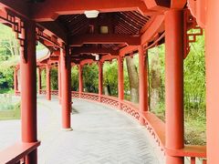 -望江楼公园