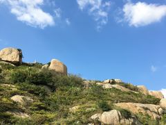 -洋山深水港