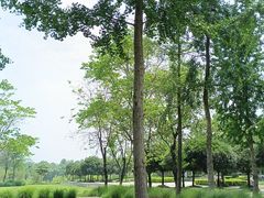 -眉山湿地公园(东坡区)