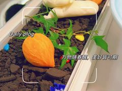 -3号仓库·创意中国菜(嘉兴龙鼎万达店)