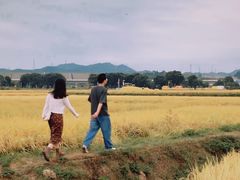 -光明小镇欢乐田园