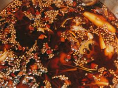 -味之绝热血美蛙鱼火锅(中坝店)