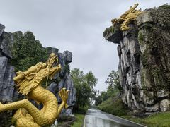 -宜兴龙背山森林公园