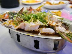 清蒸青衣鱼-旅南活海鲜-屏东(墾丁海鮮，海鮮餐廳，墾丁團體合菜，平價熱炒，墾丁熱炒店，活海鮮推薦，在地海鮮餐廳)