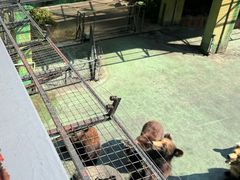 -深圳野生动物园