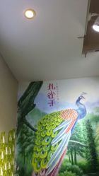 android_upload_pic-孔雀手美甲美睫护理