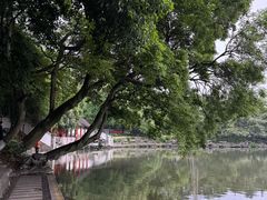 -桂林两江四湖景区