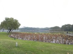 -东华大学(松江校区)