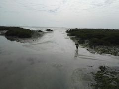 -北海金海湾红树林生态旅游区