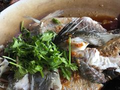 -旗鱼海番村(Orang Asli)