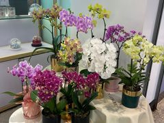 -EPOQUE·一刻花店(兴业太古汇店)