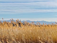 -野鸭湖国家湿地公园