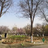 大明宫遗址公园里面非常大