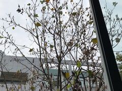 -杭州师范大学(下沙校区)