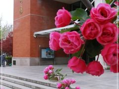 -清华大学-观畴园餐厅
