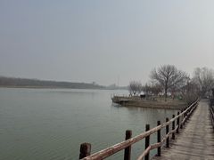 -西青郊野公园