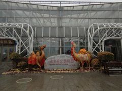 -南宫五洲植物乐园