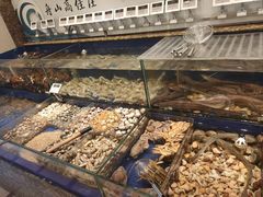 水产区-高佳庄·舟山海鲜(海景旗舰店)