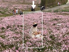 -成都大熊猫繁育研究基地
