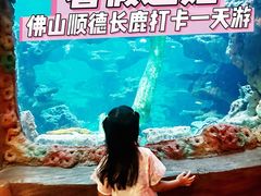 -长鹿旅游休博园