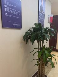 -南京医科大学友谊整形外科医院