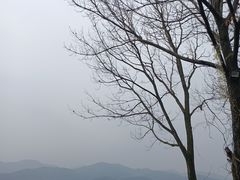 -天目湖涵田半山温泉