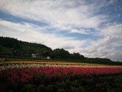 -富田农场