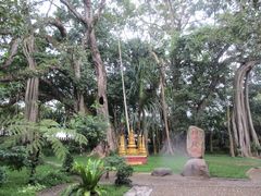 -瑞丽独树成林风景区