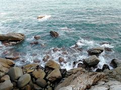 -广东惠东海龟国家级自然保护区