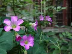 iphone_upload_pic-武汉探路者国际青年旅舍