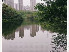 -重庆彩云湖湿地公园