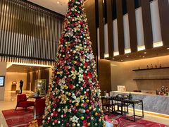 -深圳湾科技园丽雅查尔顿酒店