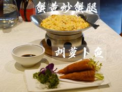 -丁老爷子苏香圆