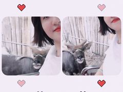 -清迈夜间动物园