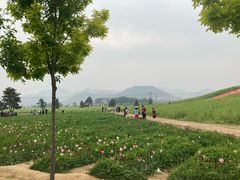 -狼牙山风景区