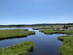 -塞罕坝国家级自然保护区