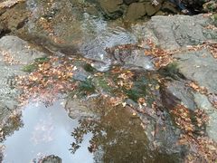 -宁波五龙潭景区