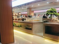 -新艺自助美食城(中山路店)