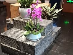 -黔蘑菇四季餐厅(观山湖店)