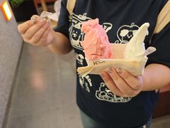 -野人先生Gelato(上海长宁龙之梦店)