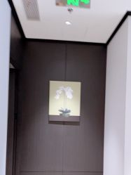 -CRAIE可瑞医美式医美·111SKIN