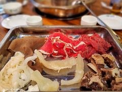-金鼎雪山牦牛杂火锅(理县总店)