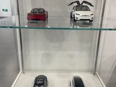 -TESLA 特斯拉(北京南四环中路特斯拉中心)